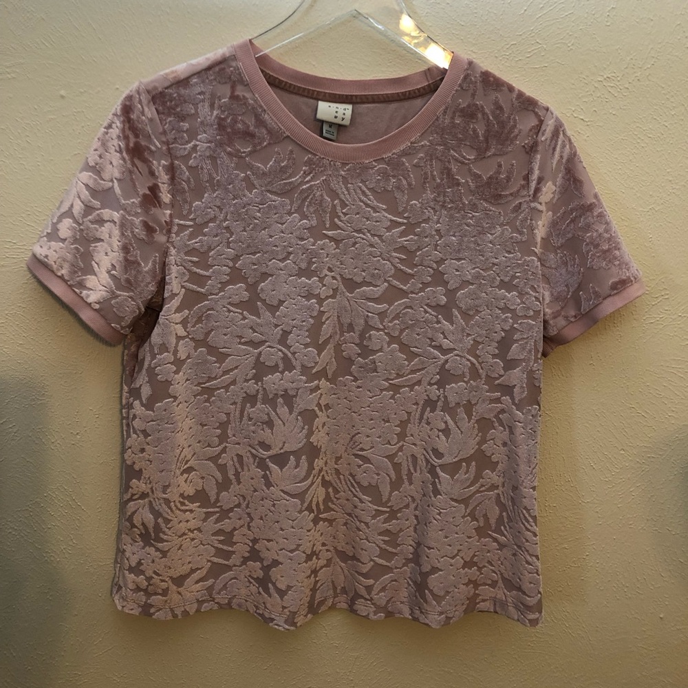 Blush Burn Out Velvet in Size Medium
